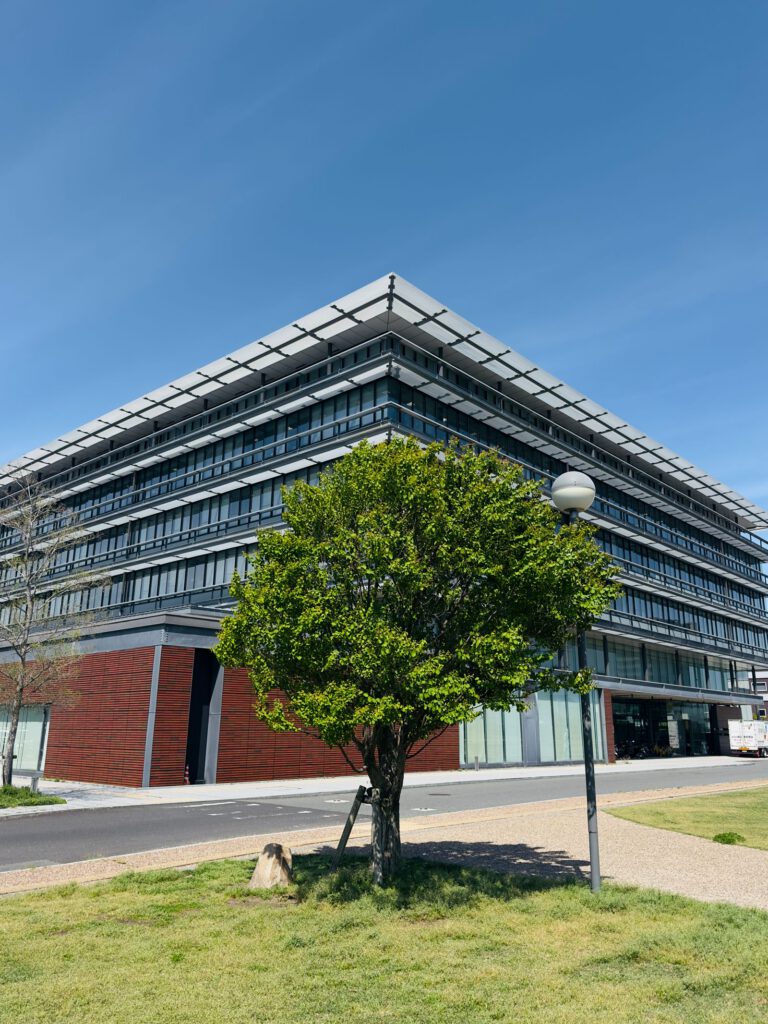 Commercial Construction
